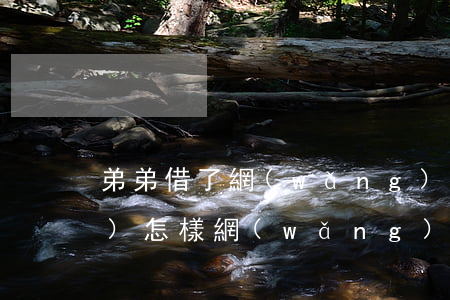 弟弟借了網(wǎng)貸不還會(huì)怎樣(網(wǎng)貸借給朋友還不了了)