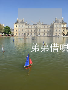 弟弟借唄欠了1萬多塊錢(借唄借了一萬)
