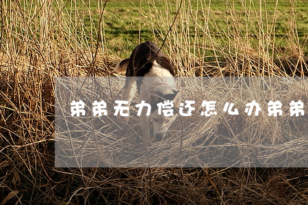 弟弟无力偿还怎么办(弟弟太欠了怎么办)