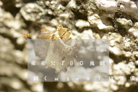 弟弟欠了80萬網(wǎng)貸(弟弟欠了網(wǎng)貸,要債的找上姐姐)