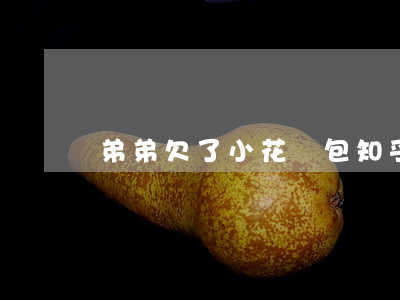 弟弟欠了小花錢包知乎(小花錢包沒還款)