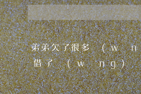 弟弟欠了很多網(wǎng)貸怎么辦(弟弟借了網(wǎng)貸怎么辦)