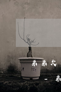 弟弟欠了很多網(wǎng)貸還不上怎么辦-弟弟欠了很多網(wǎng)貸還不上怎么辦呢