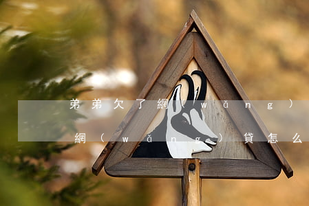 弟弟欠了網(wǎng)貸該怎么辦(我欠了網(wǎng)貸怎么辦)