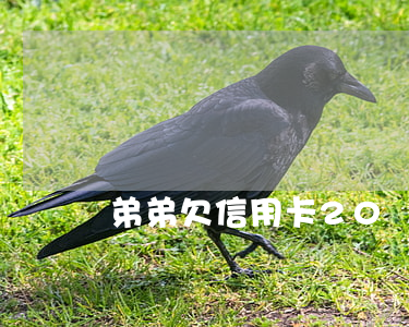 弟弟欠信用卡20萬 我老媽欠信用卡25萬