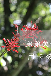 弟弟欠信用卡,银行要起诉,该不该帮（弟弟欠信用卡被起诉了）