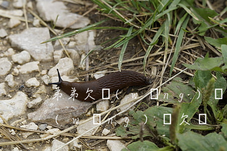 弟弟欠網(wǎng)貸不還 會怎樣(弟弟網(wǎng)貸欠錢)
