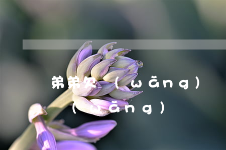 弟弟欠網(wǎng)貸十幾萬(弟弟一直借網(wǎng)貸)