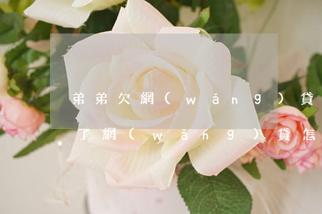 弟弟欠網(wǎng)貸哥哥沒想幫(弟弟借了網(wǎng)貸怎么辦)