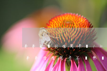 弟弟欠銀行信用卡會(huì)影響我們嗎 弟弟借信用卡不還影響家人嗎