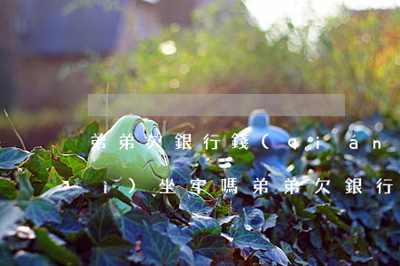 弟弟欠銀行錢(qián)還不上會(huì)坐牢嗎（弟弟欠銀行錢(qián)還不上）