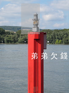 弟弟欠錢被起訴(親弟弟欠錢怎么要)