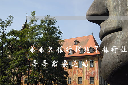 弟弟欠银行钱跑了银行让哥哥还吗(弟弟欠钱哥哥需要还吗)