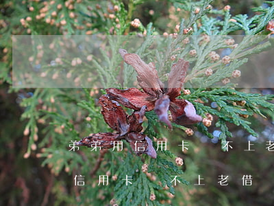 弟弟用信用卡還不上老借錢怎么辦-弟弟用信用卡還不上老借錢怎么辦呢