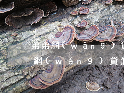 弟弟網(wǎng)貸不知道欠了多少(弟弟網(wǎng)貸怎么辦)