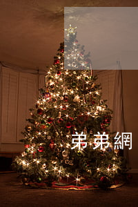 弟弟網(wǎng)貸逾期兩年被起訴