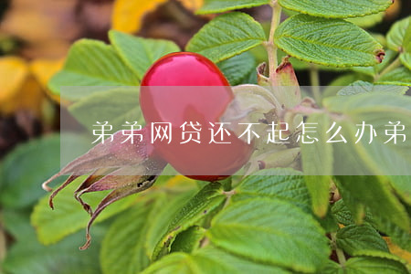 弟弟网贷还不起怎么办 弟弟欠网贷怎么办