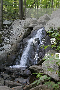 弟弟被拘留欠的網(wǎng)貸該還嗎(弟弟欠網(wǎng)貸怎么辦)