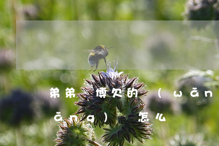弟弟賭博欠的網(wǎng)貸(弟弟網(wǎng)賭怎么辦)