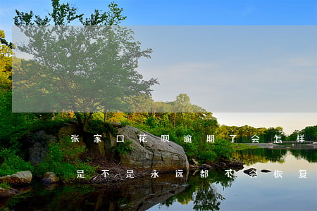 张家口花呗逾期了会怎样(花呗逾期3个多月是不是永远都不会恢复了)