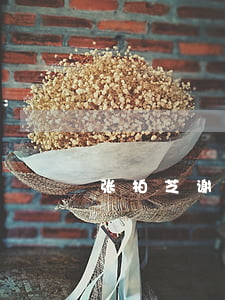 张柏芝谢霆锋离婚时间
