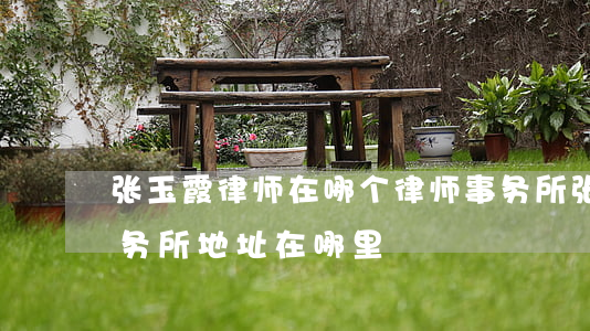 张玉霞律师在哪个律师事务所(张玉霞律师事务所地址在哪里)