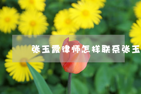 张玉霞律师怎样联系(张玉霞律师的微博)