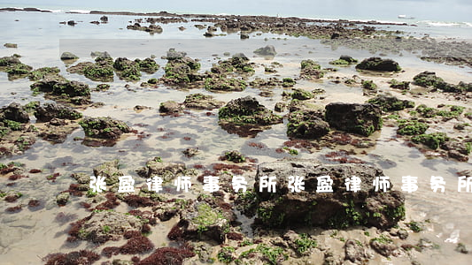 张盈律师事务所(张盈律师事务所招聘)