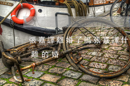 張嘉譯離婚了嗎(張嘉譯什么時(shí)候離的婚)