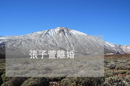 張子萱離婚