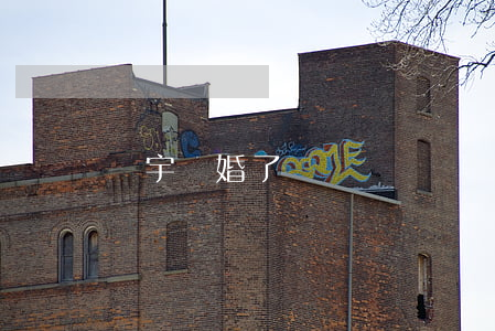 張宇離婚了嗎