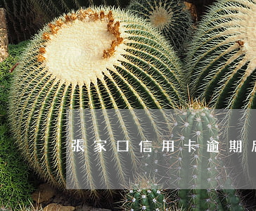 張家口信用卡逾期后果 張家口信用卡寬限期
