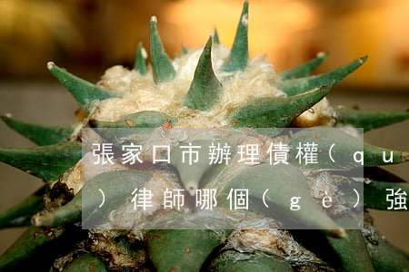 張家口市辦理債權(quán)債務(wù)律師哪個(gè)強(qiáng)