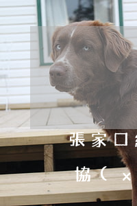 張家口網(wǎng)貸逾期停息分期怎么協(xié)商-網(wǎng)貸逾期停息是什么意思