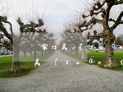 張家口美團(tuán)信用卡逾期(張家口美團(tuán)信用卡逾期二十天)