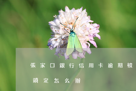 張家口銀行信用卡逾期被鎖(張家口銀行密碼鎖定怎么辦)