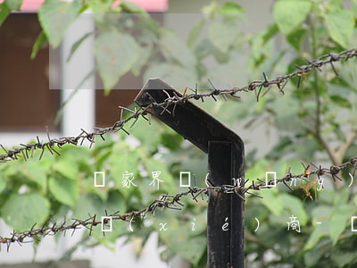 張家界網(wǎng)貸逾期停息分期怎么協(xié)商-網(wǎng)貸逾期怎么申請(qǐng)停息掛賬