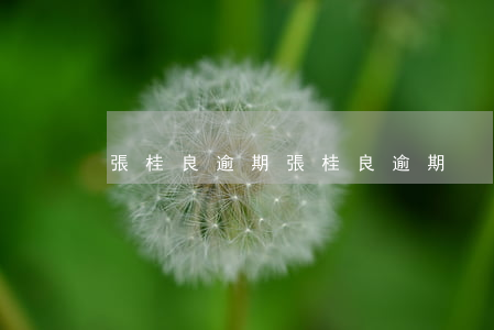 張桂良逾期(張桂良逾期)