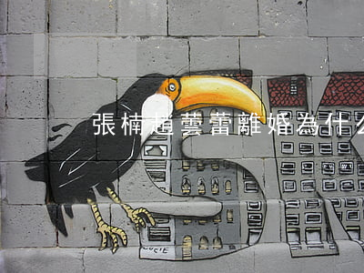 張楠趙蕓蕾離婚為什么
