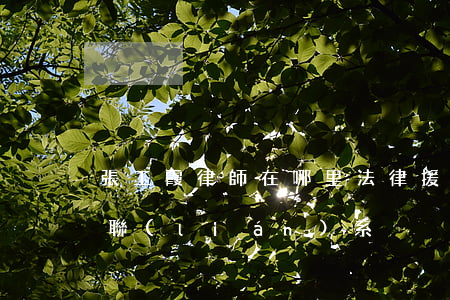 張玉霞律師在哪里法律援助(張玉霞律師怎樣聯(lián)系)