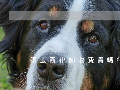 張玉霞律師收費貴嗎(律師張玉霞年齡是多少)