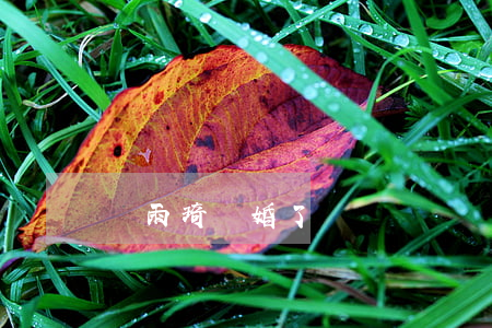 張雨琦離婚了
