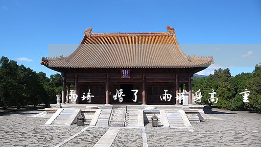張雨琦離婚了(張雨琦身高體重)