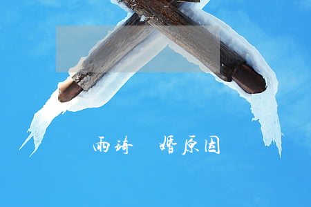 張雨琦離婚原因