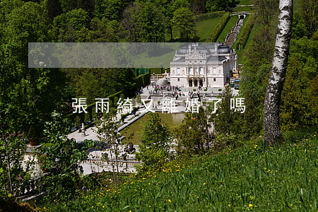 張雨綺又離婚了嗎