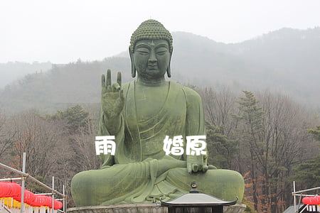 張雨綺離婚原