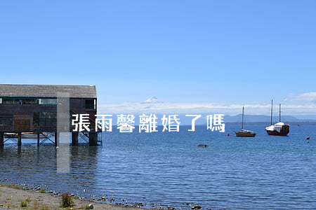 張雨馨離婚了嗎
