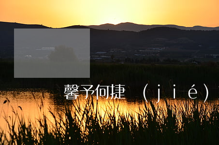 張馨予何捷結(jié)婚離婚怎么辦