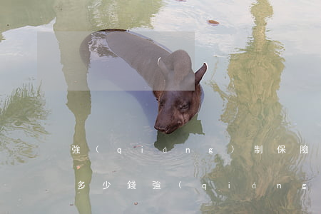 強(qiáng)制保險蹭車要補(bǔ)多少錢(強(qiáng)制險剮蹭賠多少錢)