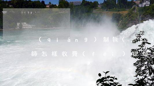 強(qiáng)制執(zhí)行代理律師怎樣收費(fèi)(律師代理申請(qǐng)執(zhí)行如何收費(fèi))